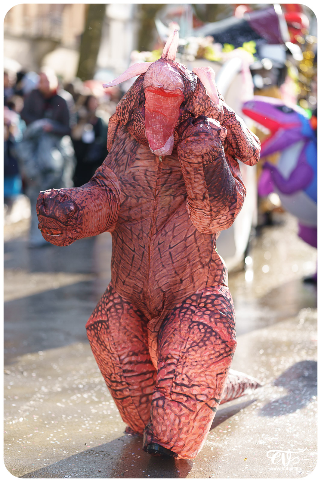 CARNAVAL DE STRASBOURG 2024